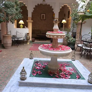3* Riad Errabii &